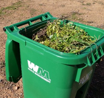 yard waste cart