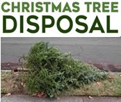 Tree Disposal